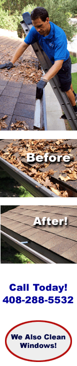Rain Gutter Cleaning Professionals
